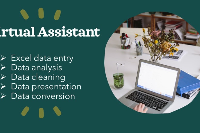 I will be your virtual assistant for excel data entry data analysis
