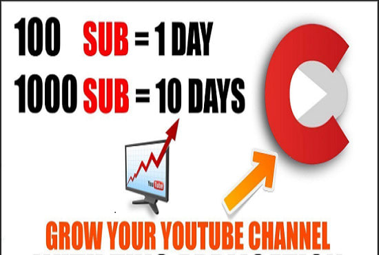 I will broadcast your youtube channel to build perpetual subscribers