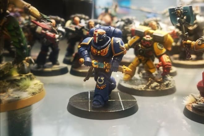 I will build and paint your miniatures to a shop display standard