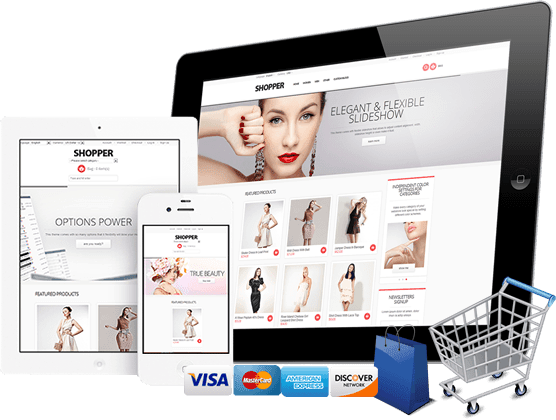 I will build professional and responsive affiliate store