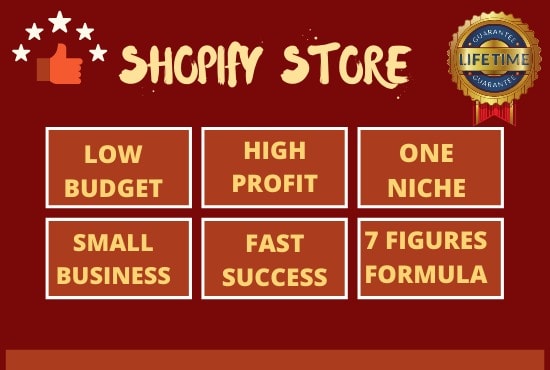 I will build shopify website dropshipping store, shopify expert