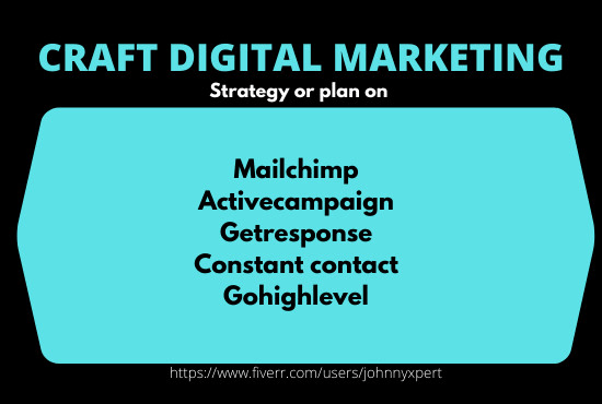 I will craft digital marketing strategy or plan
