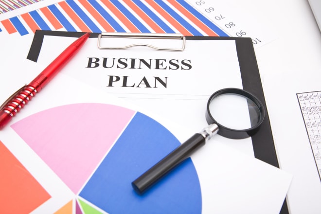 I will create a professional business plan with financial projections