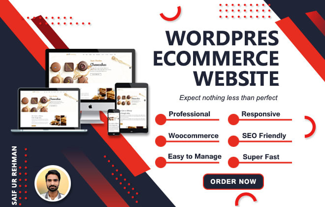 I will create a professional wordpress website