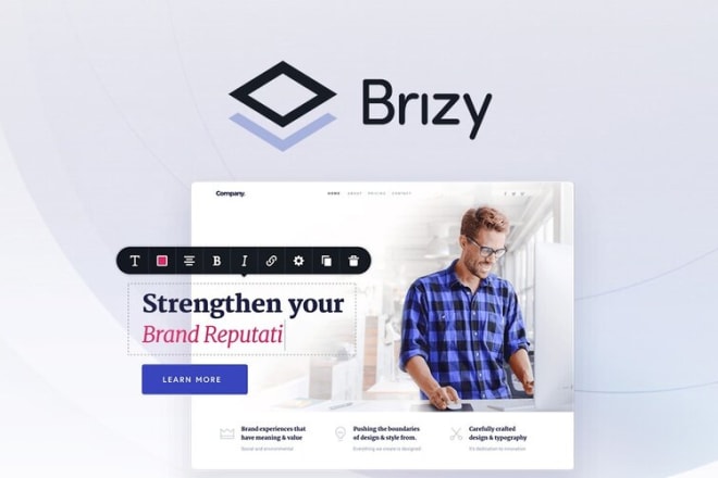 I will create a website using brizy pro page builder