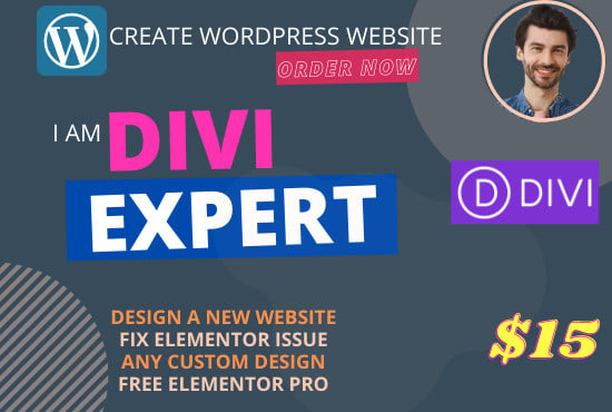 I will create or build divi modern wordpress web luxury design theme