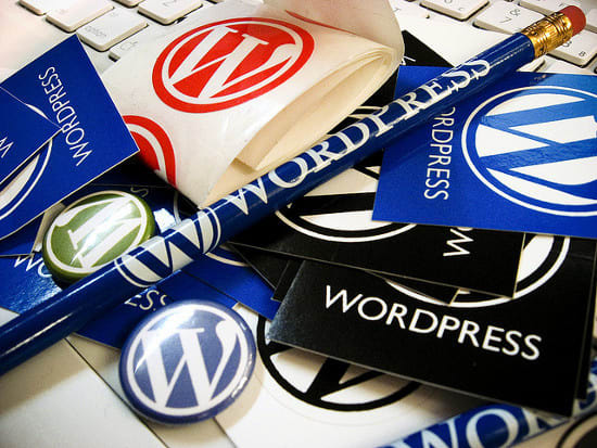 I will create responsive wordpress website design