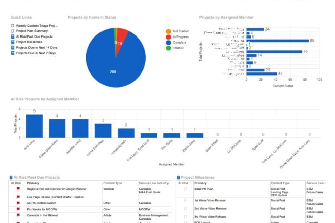 I will create smartsheet reports and realtime dashboards for you