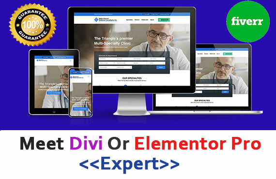 I will customize your divi theme or elementor pro web