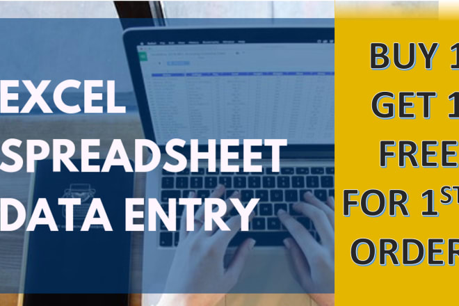 I will data entry job in excel or google sheet