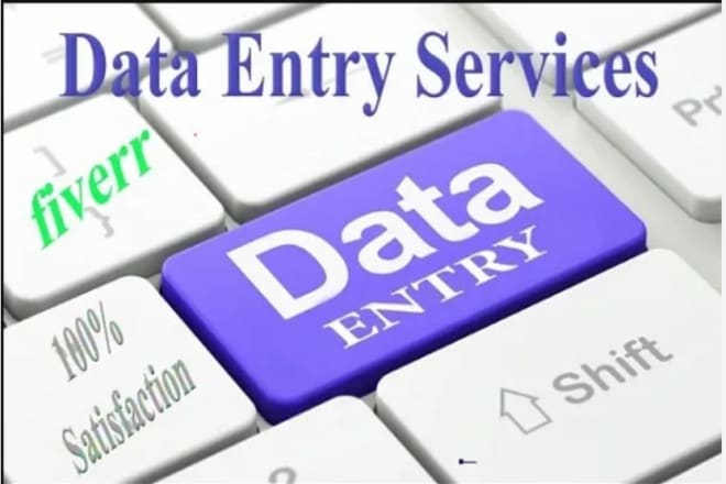 I will data entry services at competitive rates