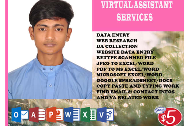 I will data entry virtual assistent service