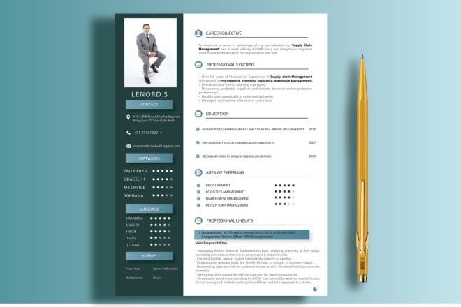 I will design a professional resume