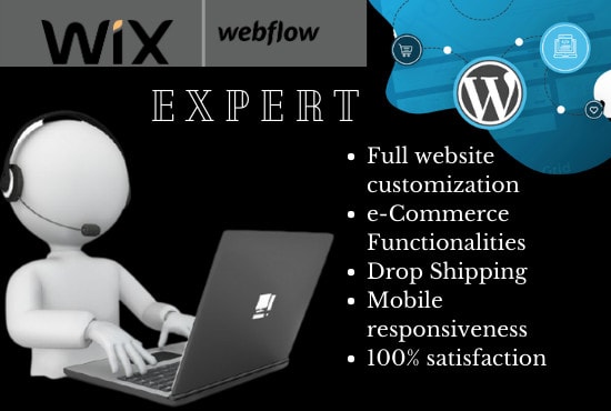 I will design clean website and blog using wordpress, wix, webflow