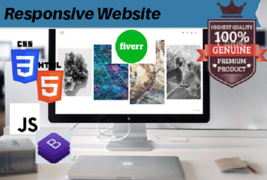 I will design publish your responsive business website with css html and wordpress