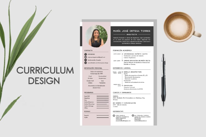 I will design unique resume, cv, curriculum vitae