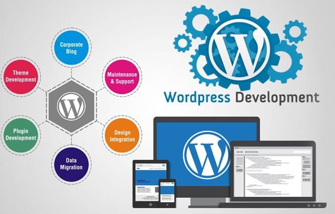 I will develop a responsive and attractive website