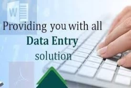 I will do a fast job in data entry