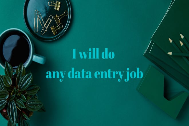 I will do any data entry job as your virtual assistant