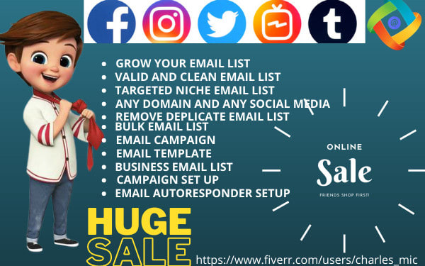 I will do bulk email blast and email marketing campaign for you