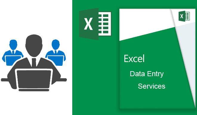 I will do data entry and data analysis with excel