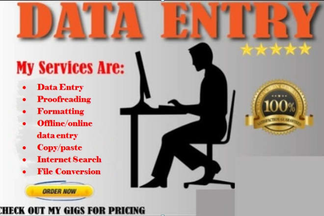 I will do data entry as professional freelancer