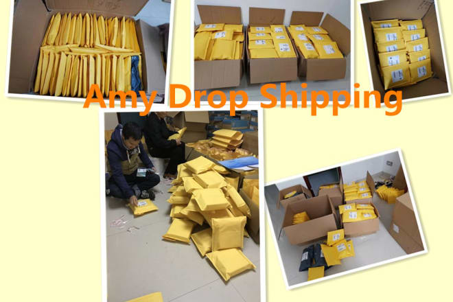 I will do drop shipping based in china