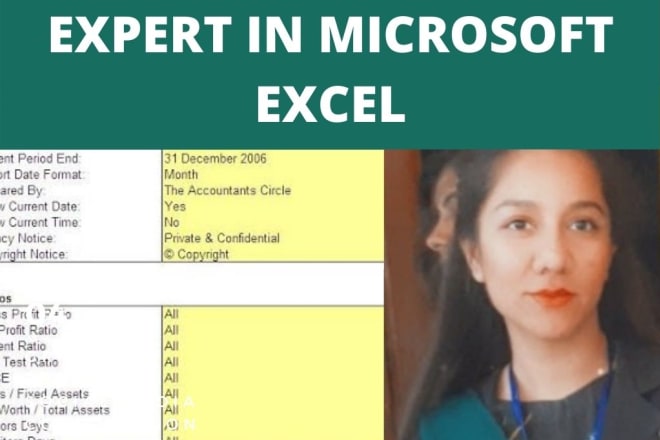 I will do excel work related to business and data entry