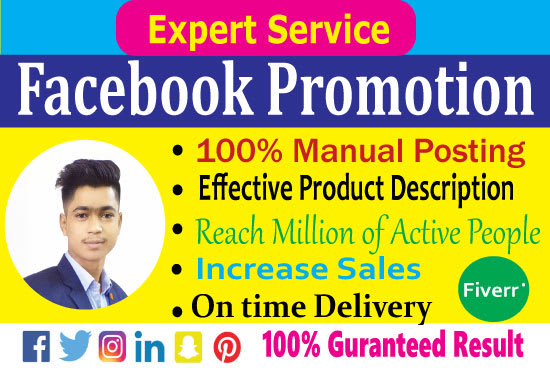 I will do facebook promotion, advertising and social media marketing