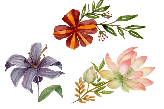 I will do floral watercolor illustration