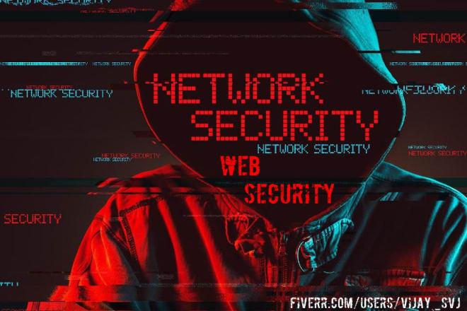 I will do penetration testing on your website and network