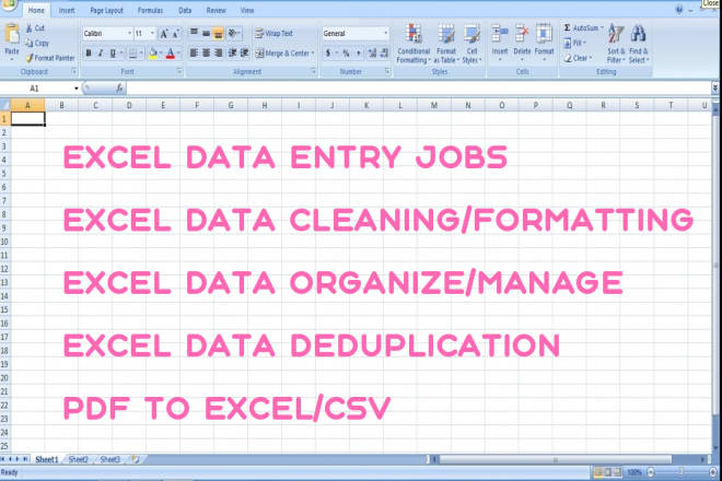I will do perfect excel data entry jobs, PDF to excel, CSV