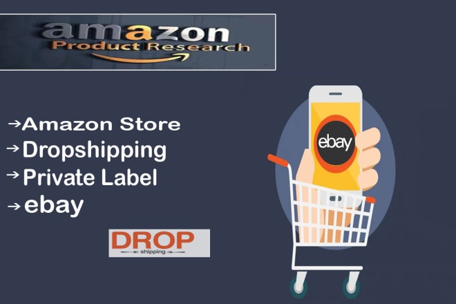 I will do shopify winning product research for drop shipping