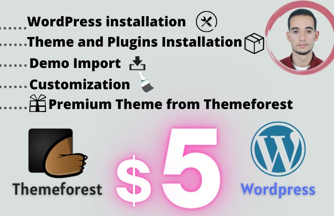 I will do themeforest wordpress theme installation and customization in 1 hour