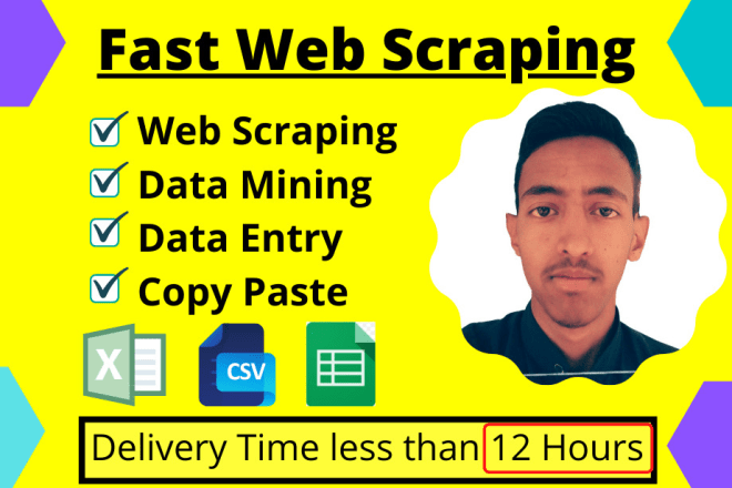 I will do web scraping, web scraper, data entry, and data mining in 12 hours
