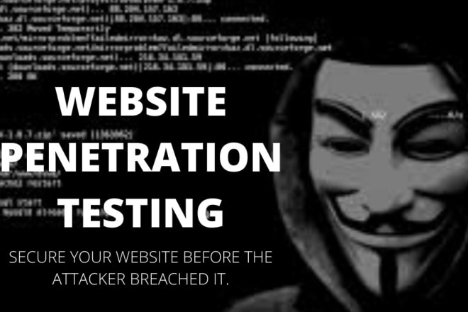 I will do website penetration testing with the professional report