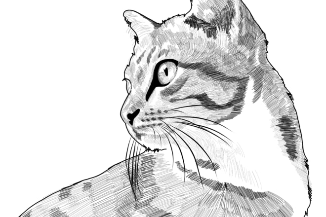 I will draw a stylish sketch portraits for pets or other animals