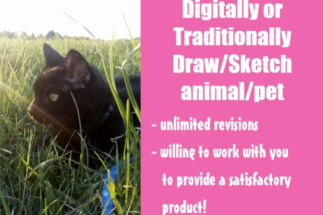 I will draw or sketch an animal or pet for you