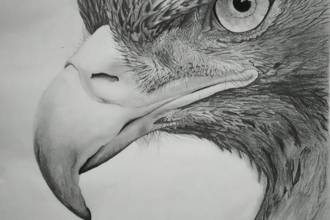 I will draw realistic pencil portraits and watercolor paintings