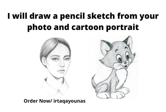 I will draw realistic pencil sketch drawing and cartoon sketches from your images