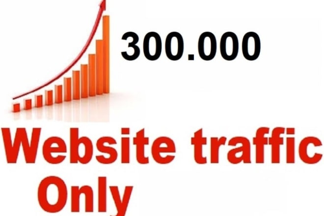 I will drive 300,000 real web traffic worldwide