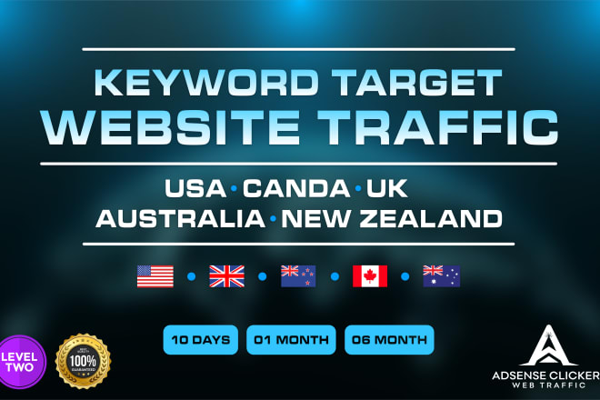 I will drive unlimited keywords targets real website traffic