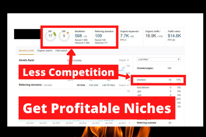 I will find profitable micro niches