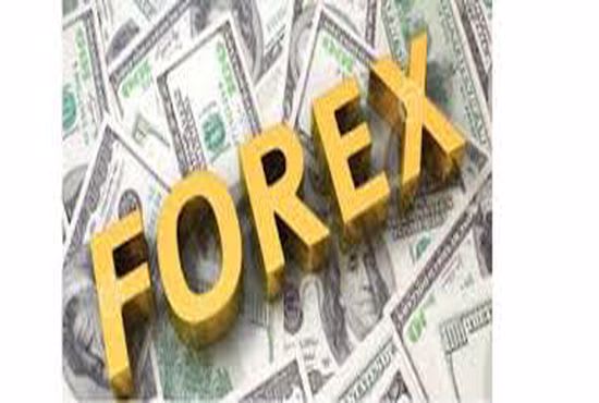 I will generate 30k forex leads,crypto leads,mlm, email list