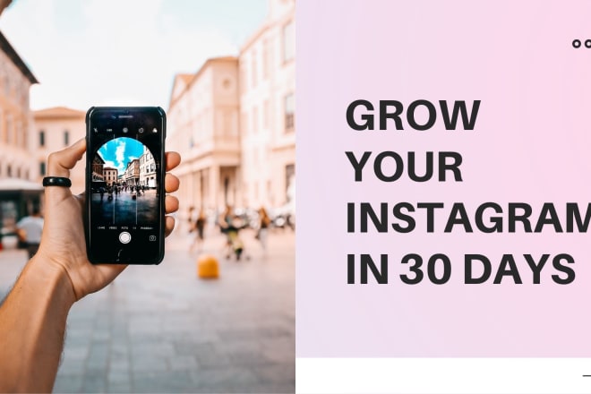 I will grow and manage your instagram page organically for 30 days