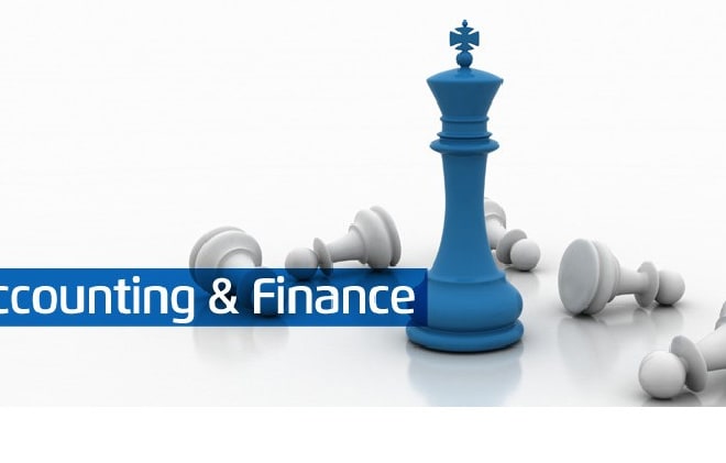 I will help in accounting and finance projects