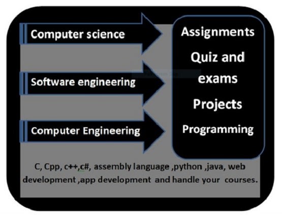 I will help you in computer science assignments, tasks and projects