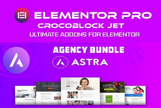 I will install elementor pro astra agency lifetime crocoblock licensed updatable