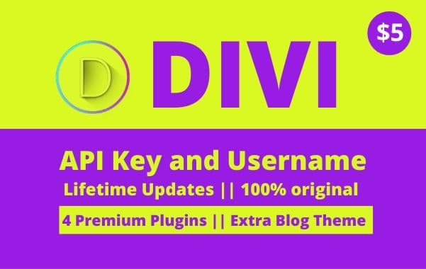 I will install premium divi theme with an API key for lifetime updates