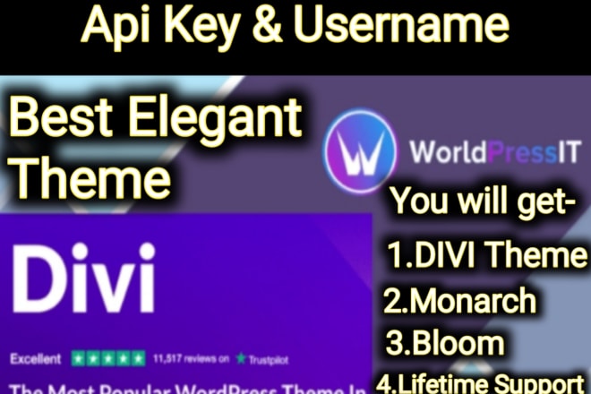 I will install premium divi theme with API key and username in 24h